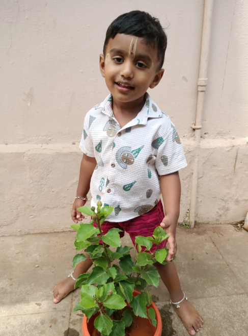 Green Thumb — Play N Learn daycare Coimbatore
